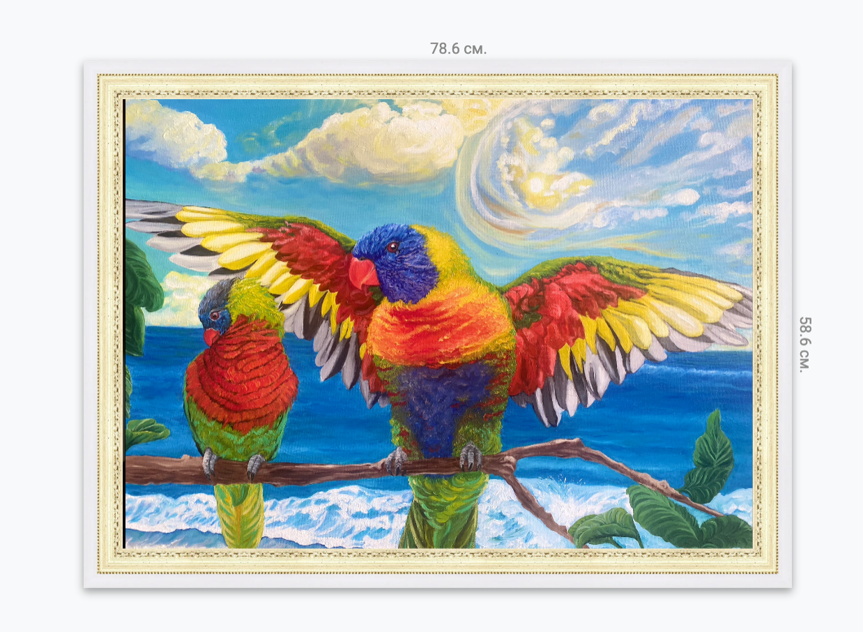 Rainbow Lorikeets: Shelter After the Storm